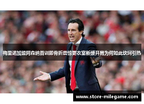 梅里诺加盟阿森纳首训即骨折震惊更衣室新援开局为何如此坎坷引热 梅里诺加盟阿森纳首训即骨折震惊更衣室新援开局为何如此坎坷引热