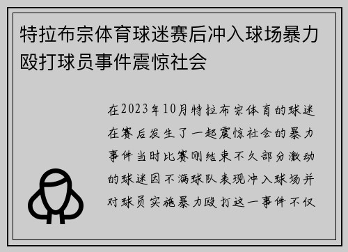 特拉布宗体育球迷赛后冲入球场暴力殴打球员事件震惊社会 特拉布宗体育球迷赛后冲入球场暴力殴打球员事件震惊社会